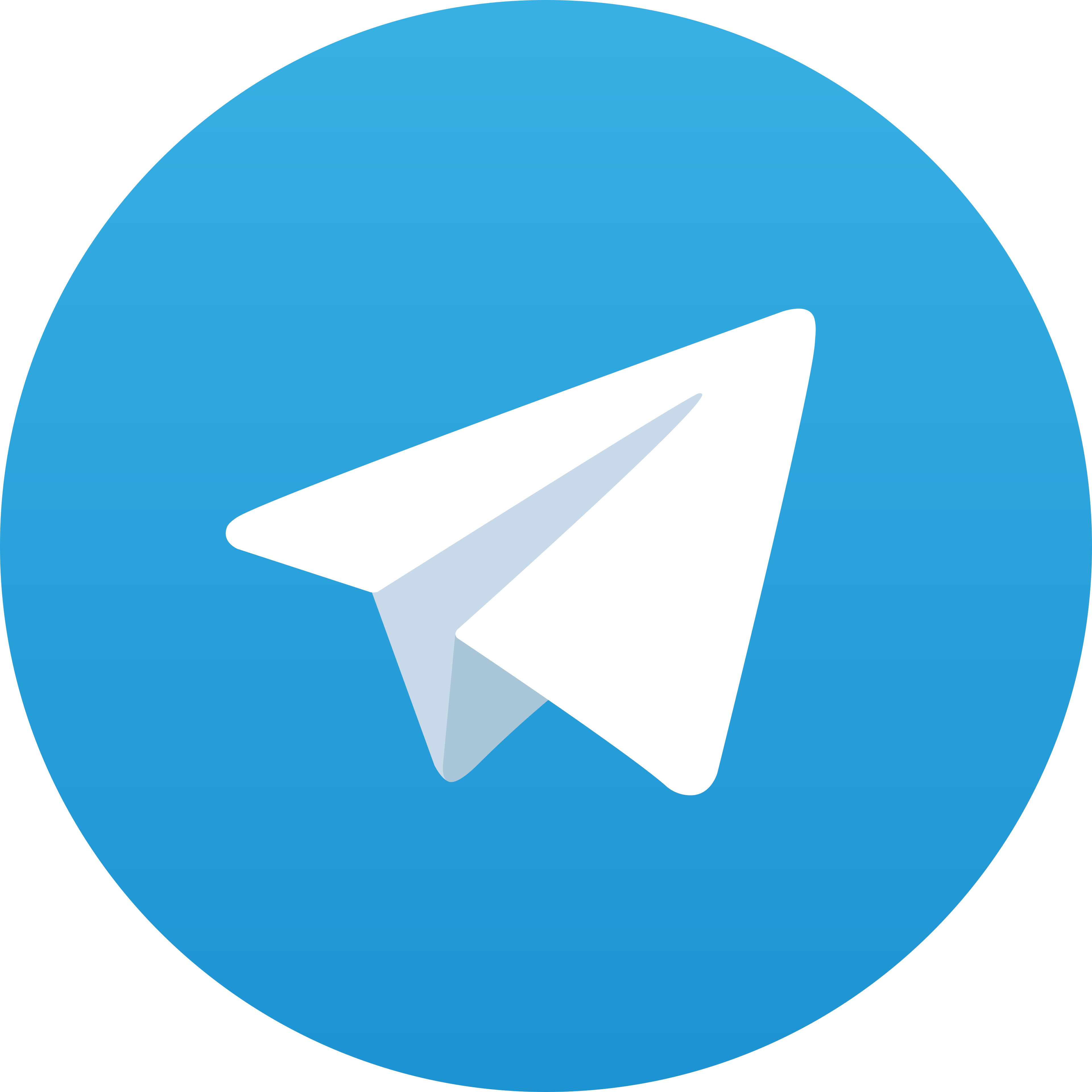 Telegram ZOOM168